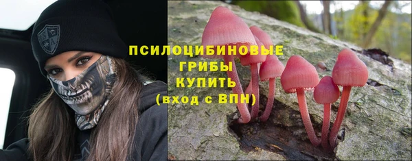 герыч Покровск