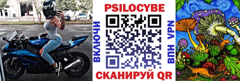Купить где  Новороссийск  Псилоцибиновые грибы прущие грибы 
