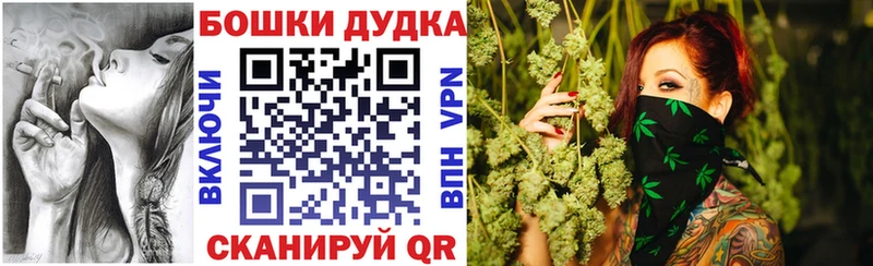 Каннабис OG Kush  Купить где  Новороссийск 